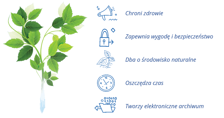 Zielona roślina, którą wspiera ekoFaktura